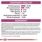 Royal Canin Veterinary Diet Cat Renal 2 kg