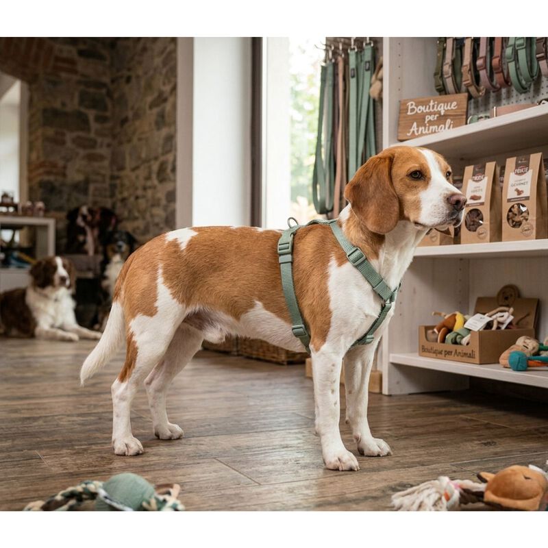 Trixie Premium Pettorina ad H color Salvia mis. XS-S