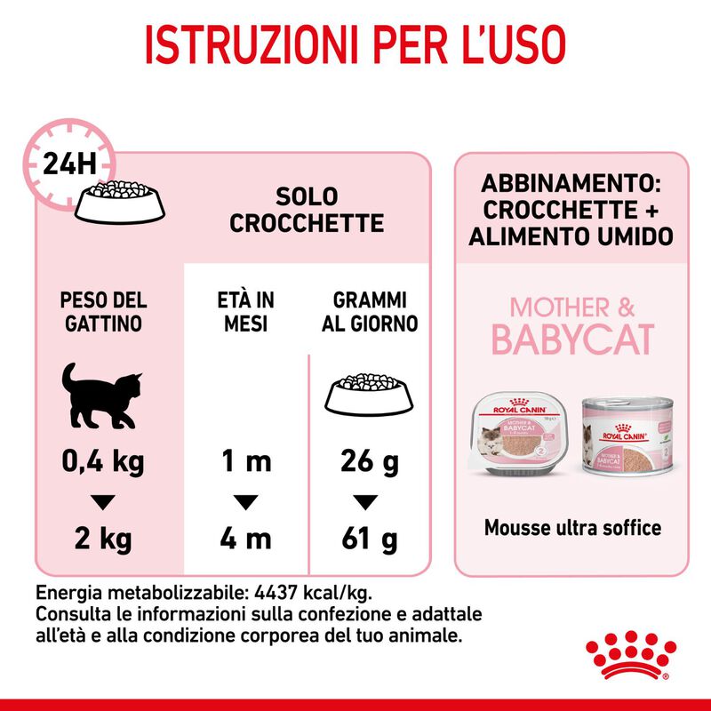 Royal Canin Cat Adult e Kitten Mother and Babycat 2 kg
