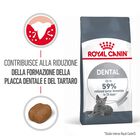 Royal Canin Cat Adult Dental Care 400 gr