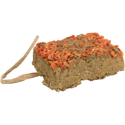 Trixie pietra in argilla con carota 100 gr