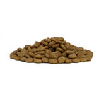 Forza10 Dog All breeds Maintenance Maiale 