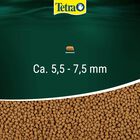 Tetra Reptomin Energy 250 ml