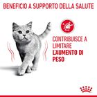Royal Canin Cat Adult Light Weight Care 400 gr