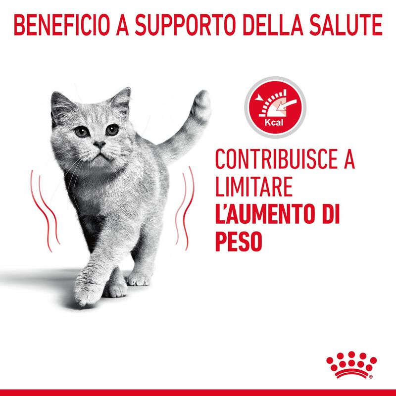 Royal Canin Cat Adult Light Weight Care 400 gr
