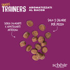 Schesir Dog Adult Snacks Trainers al Bacon 113 gr
