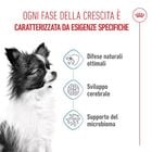 Royal Canin Dog Puppy X-Small 500 gr
