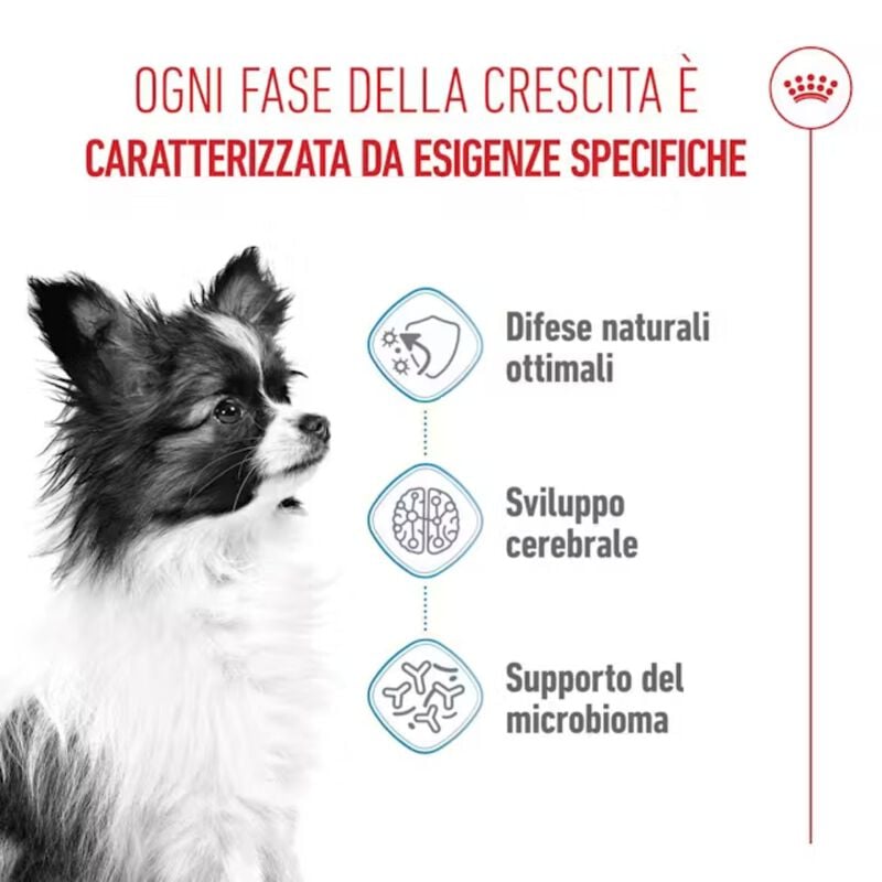 Royal Canin Dog Puppy X-Small 500 gr