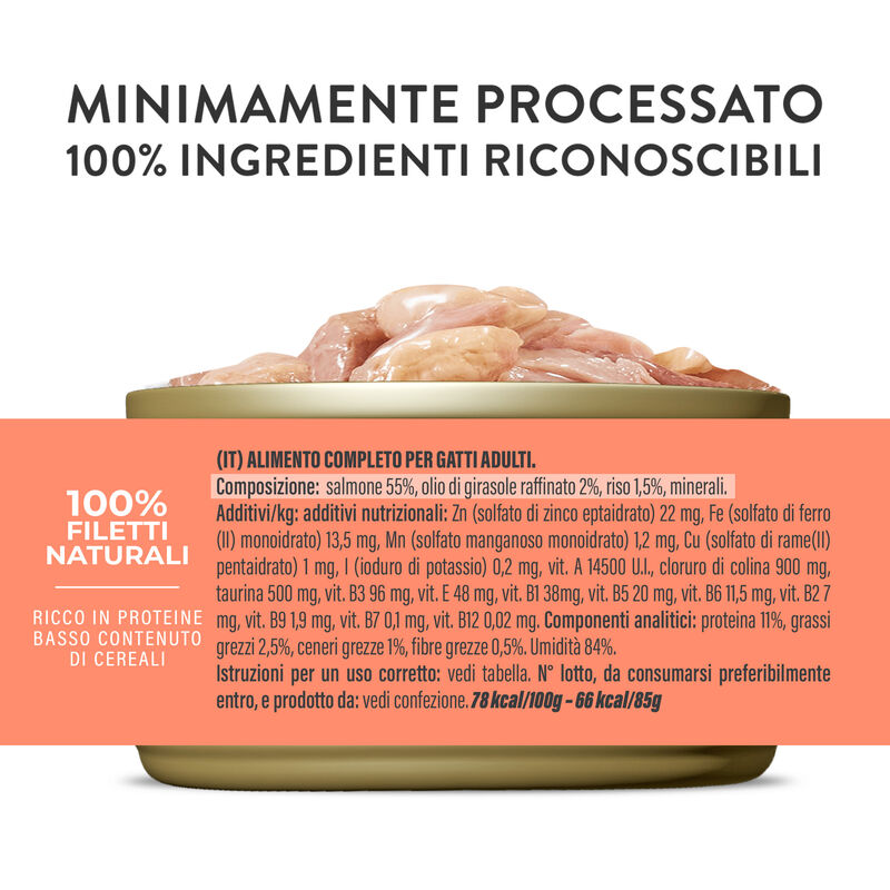 Schesir Cat Salmone al Naturale in brodo 85 gr