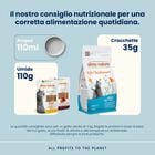 Almo Nature Life Maintenance Cat Adult Pesce Azzurro 400 gr