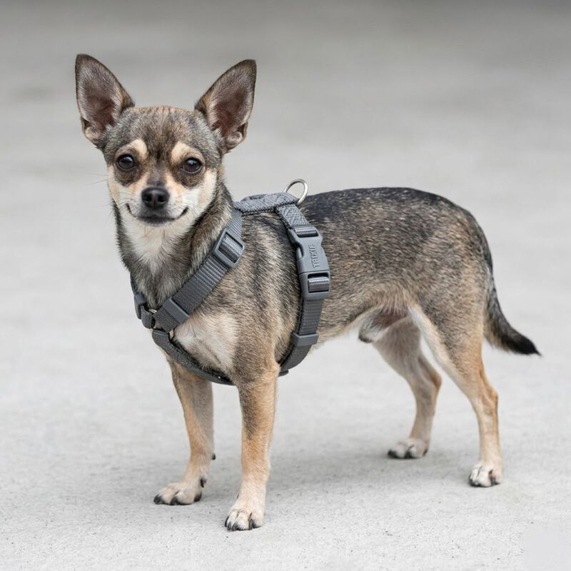 Trixie Premium Pettorina ad H Color Petrolio Tg XS-S