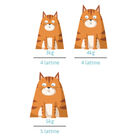 Petreet Cat Adult Vellutata di pollo con anatra 70gr A83