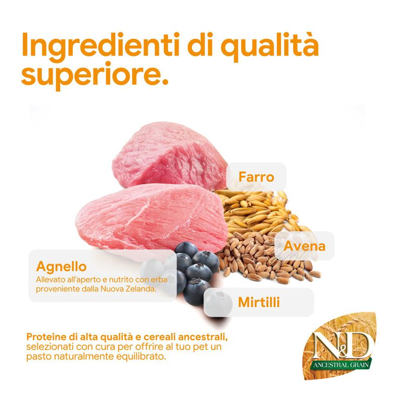 N&D Farmina Ancestral Grain Puppy Medium & Maxi Agnello e Mirtillo 12 kg