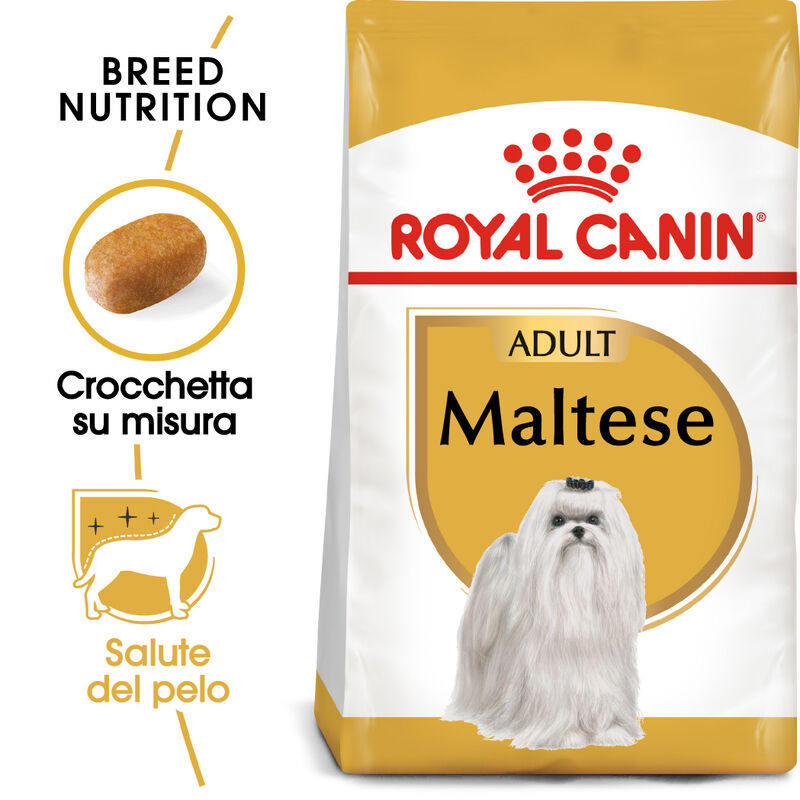 Royal Canin Dog Adult  e Senior Maltese 1,5 kg