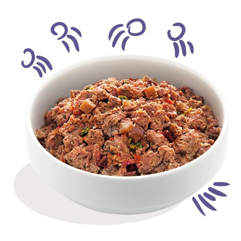 Edgard & Cooper Dog Adult Manzo 400 gr