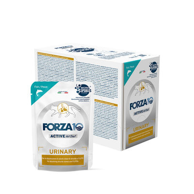 Forza10 Active Cat Adult Urinary Pesce 80gr