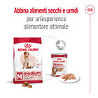 Royal Canin Dog Adult 7+ Medium 15 kg  