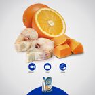 Farmina N&D Ocean Dog Adult Mini Merluzzo, Zucca e Arancia 2,5 kg