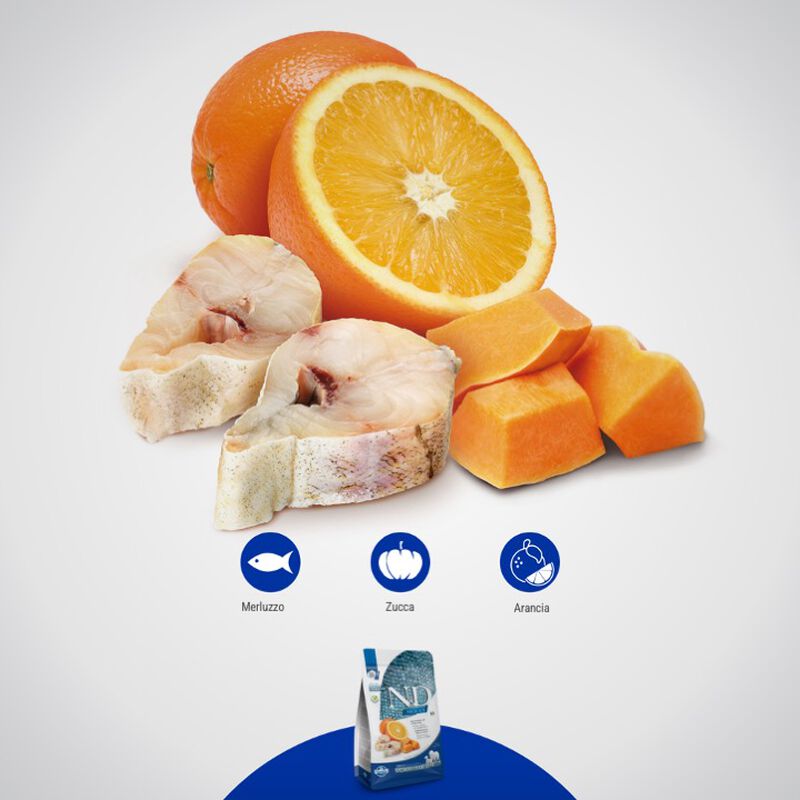 Farmina N&D Ocean Dog Adult Mini Merluzzo, Zucca e Arancia 2,5 kg