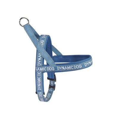 Camon Pettorina Dynamic in neoprene 90 cm Blu