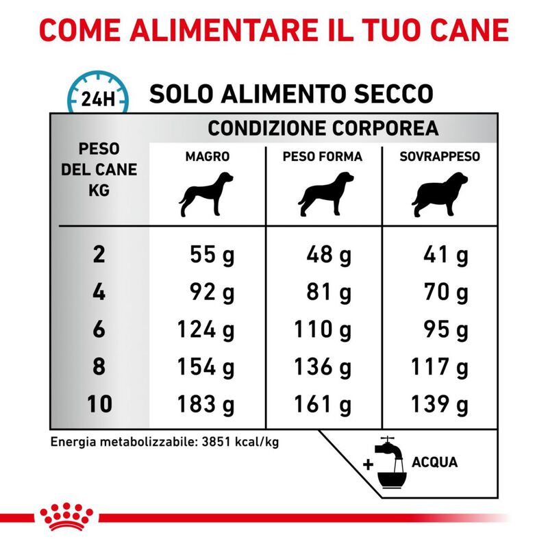 Royal Canin Veterinary Diet Dog Small Anallergenic 1,5 kg