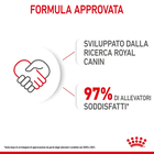 Royal Canin Dog Mini Puppy 85 gr