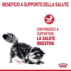 Royal Canin Cat Adult Digestive Care 400 gr