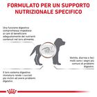 Royal Canin Veterinary Diet Dog Puppy Gastrointestinal 2,5 kg