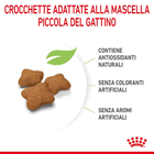 Royal Canin Cat Kitten Sterilised 2 kg