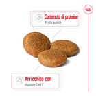 Royal Canin Dog Medium Adult 15 kg+3kg Omaggio