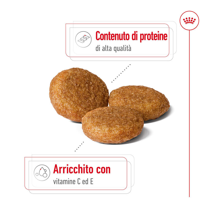 Royal Canin Dog Medium Adult 15 kg+3kg Omaggio