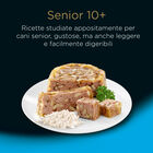 Cesar Dog Senior Selezione Pollo e Riso e Manzo e Riso in Gelatina 4x100 gr