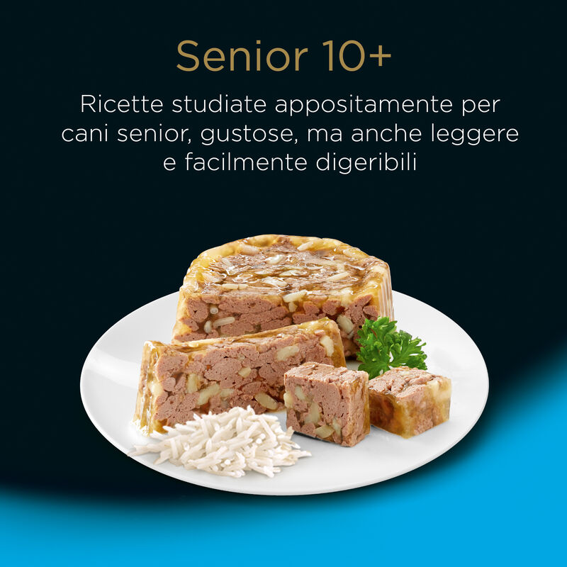 Cesar Dog Senior Selezione Pollo e Riso e Manzo e Riso in Gelatina 4x100 gr