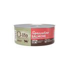 O-life Spezzatino Salmone con zucca per Gatti Adulti 70gr