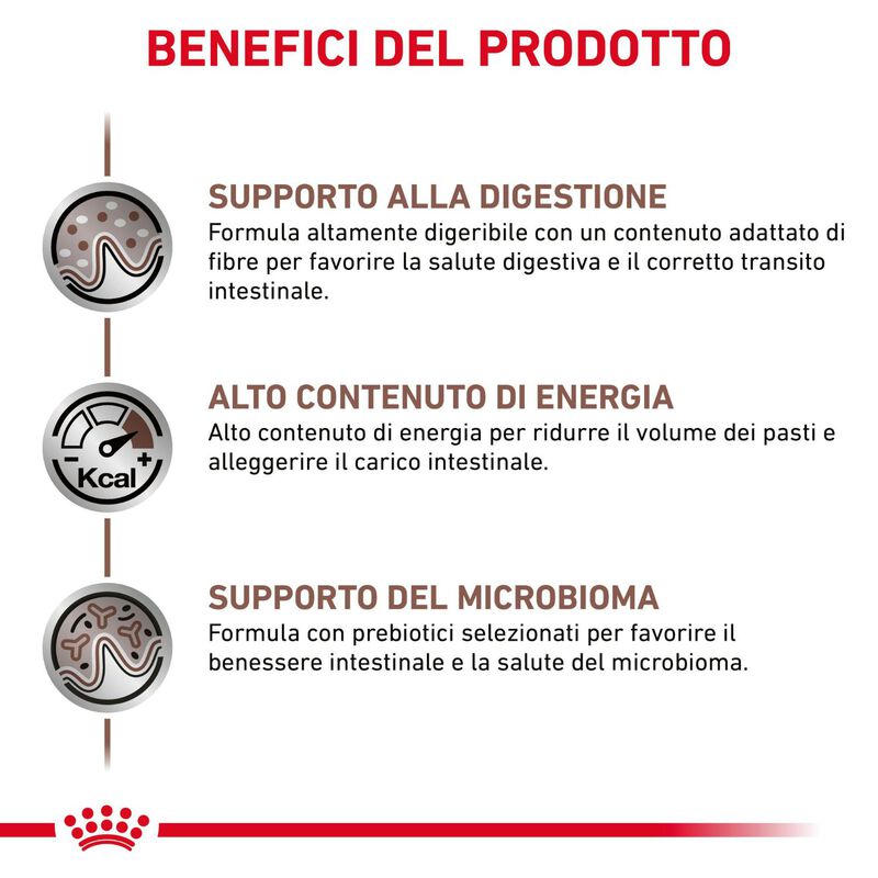 Royal Canin Veterinary Diet Dog Adult Gastrointestinal 200 gr