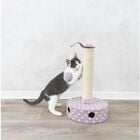 Trixie Tiragraffi Ruota e Tronchetto Lilla 47 cm