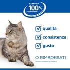 Hill's Science Plan Cat Kitten al Pollo 300 gr