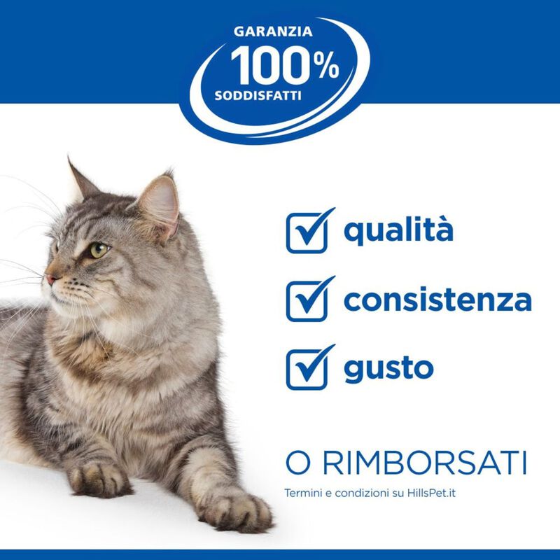 Hill's Science Plan Cat Kitten al Pollo 300 gr