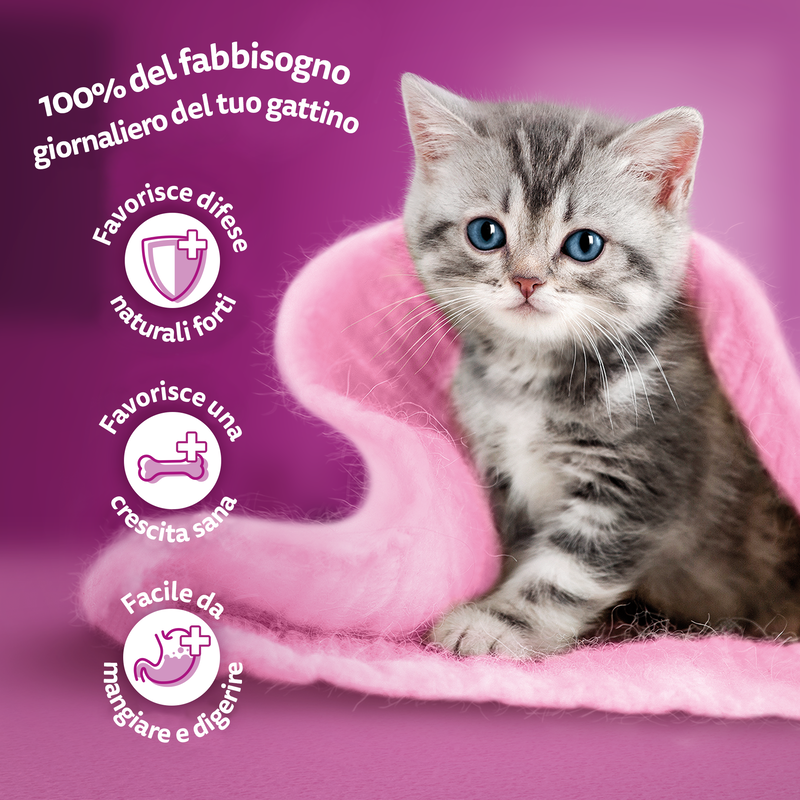 Whiskas Cat Junior Selezione Gustosa in salsa 4x85gr