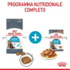 Royal Canin Cat Adult Urinary Care 2 kg