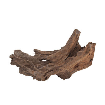 Blu Bios Legno Jati medio 25/35 cm