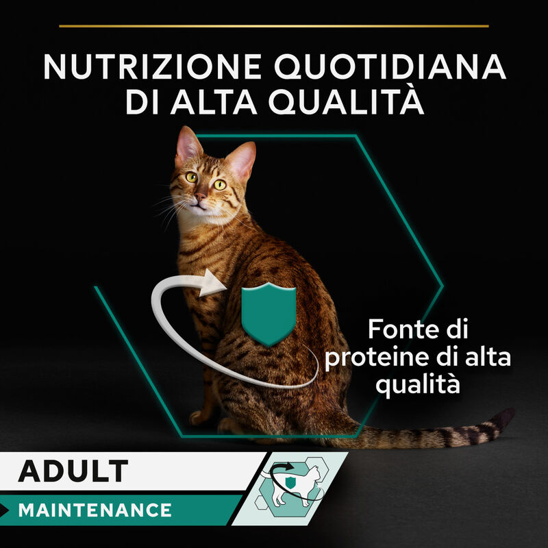 Purina Pro Plan Cat Sterilised Adult Maintenance terrine con Tonno e Salmone 85grx12 pz