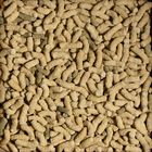 Sera Tartarughe Adulte Raffy P Pellets 1 lt