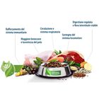 Happy Dog Adult Mini NaturCroq Salmone e riso 800 gr