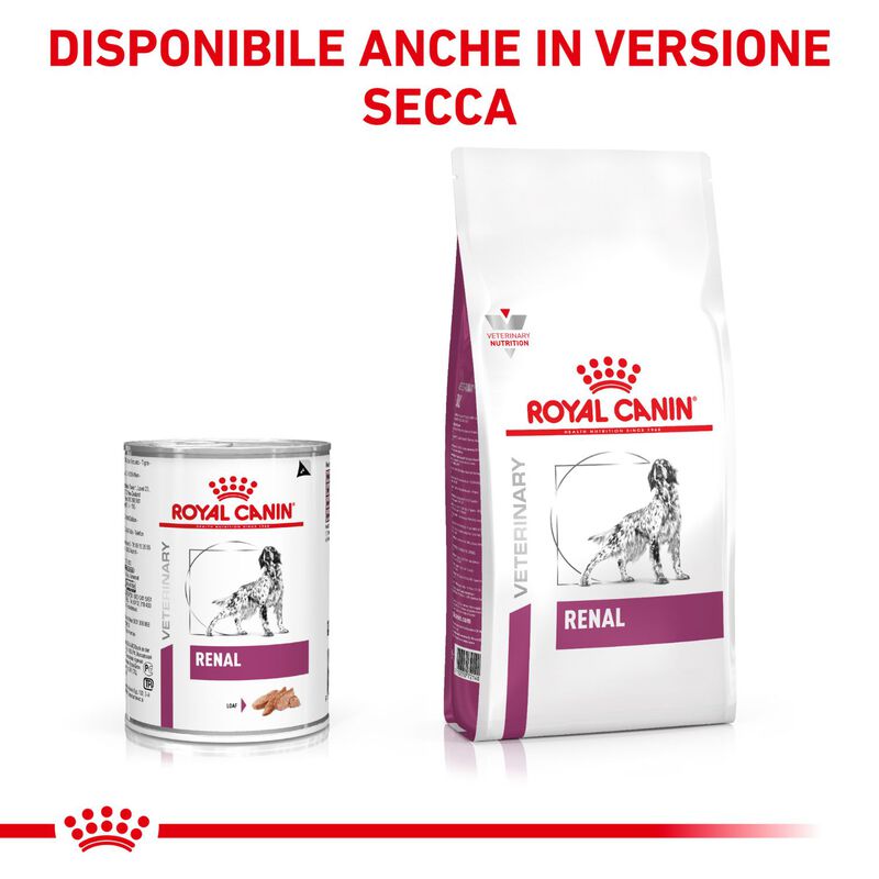 Royal Canin Veterinary Diet Dog Renal 410 gr