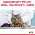 Royal Canin Cat Adult Hair&Skin in Salsa 85gr
