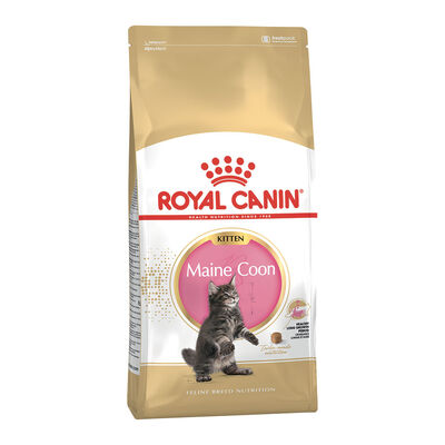 Royal Canin Cat Kitten Maine Coon 400 gr