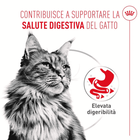 Royal Canin Cat Adult Digestive Care Airlift Mousse 85gr