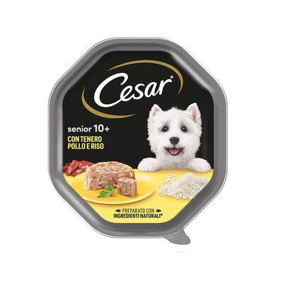 Cesar Dog Senior Tenero Pollo e Riso in Gelatina 10+ 150 gr