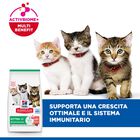 Hill's Sience Plan Kitten al Salmone 1,5 kg